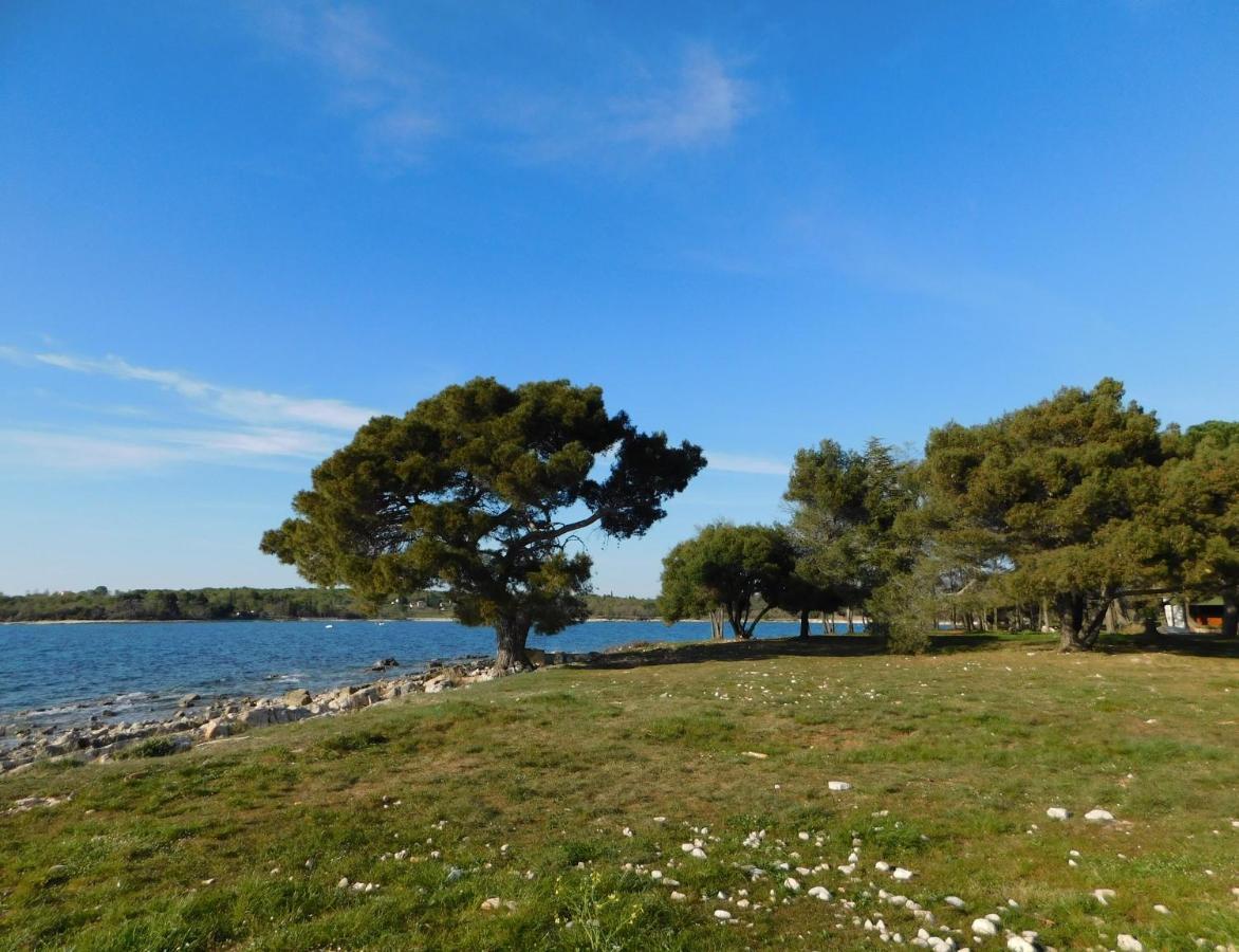 House Monika Apartman Poreč Kültér fotó